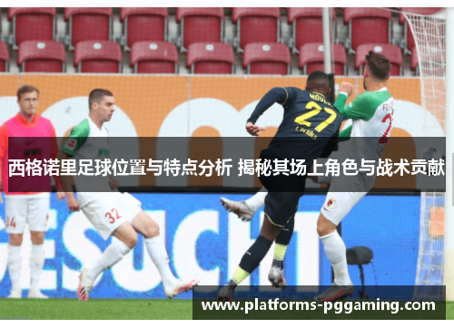 西格诺里足球位置与特点分析 揭秘其场上角色与战术贡献
