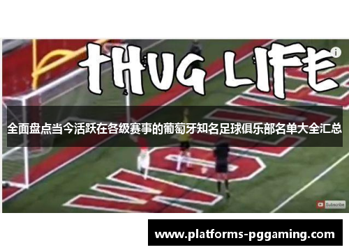 全面盘点当今活跃在各级赛事的葡萄牙知名足球俱乐部名单大全汇总